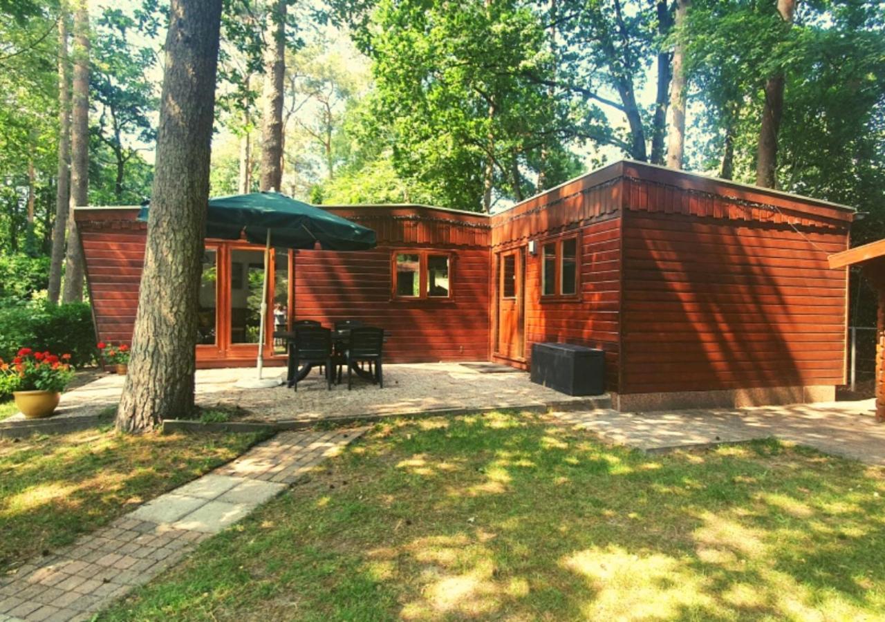 Chalet L2 Dennenrhode Doornspijk Ngoại thất bức ảnh